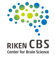 RIKEN CBS